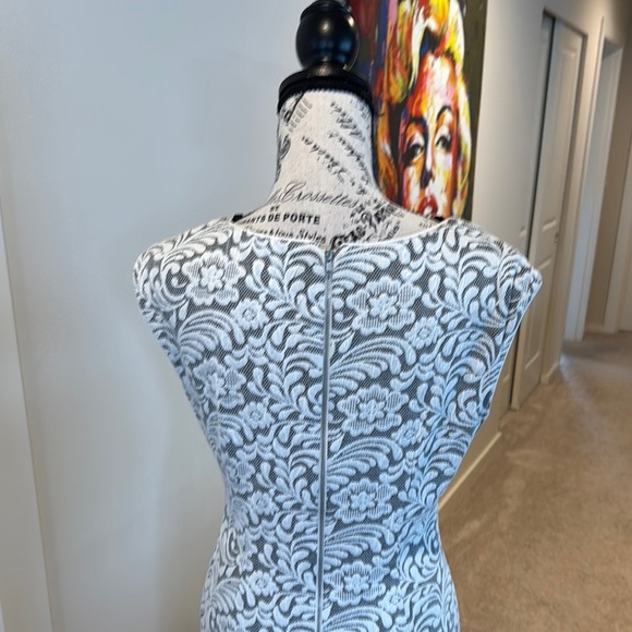 Maggy London Black and White A-line Midi Dress - Picture 7 of 12